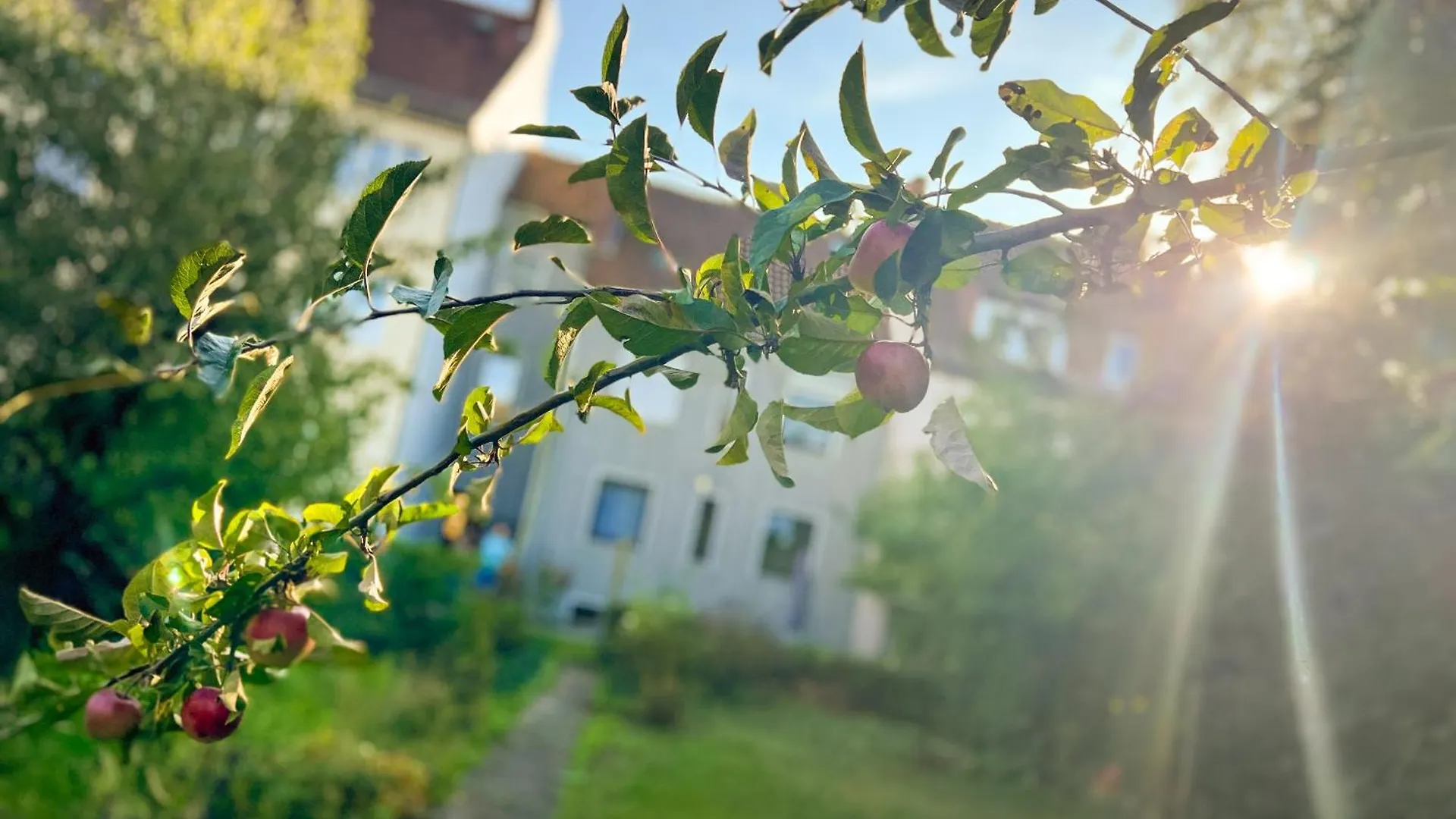 Lägenhet Immostay #8 - Haus Fuer 13 Personen Mit 7 Zimmer - Grosser Garten & Grill, Free Parking, Wlan Bremen